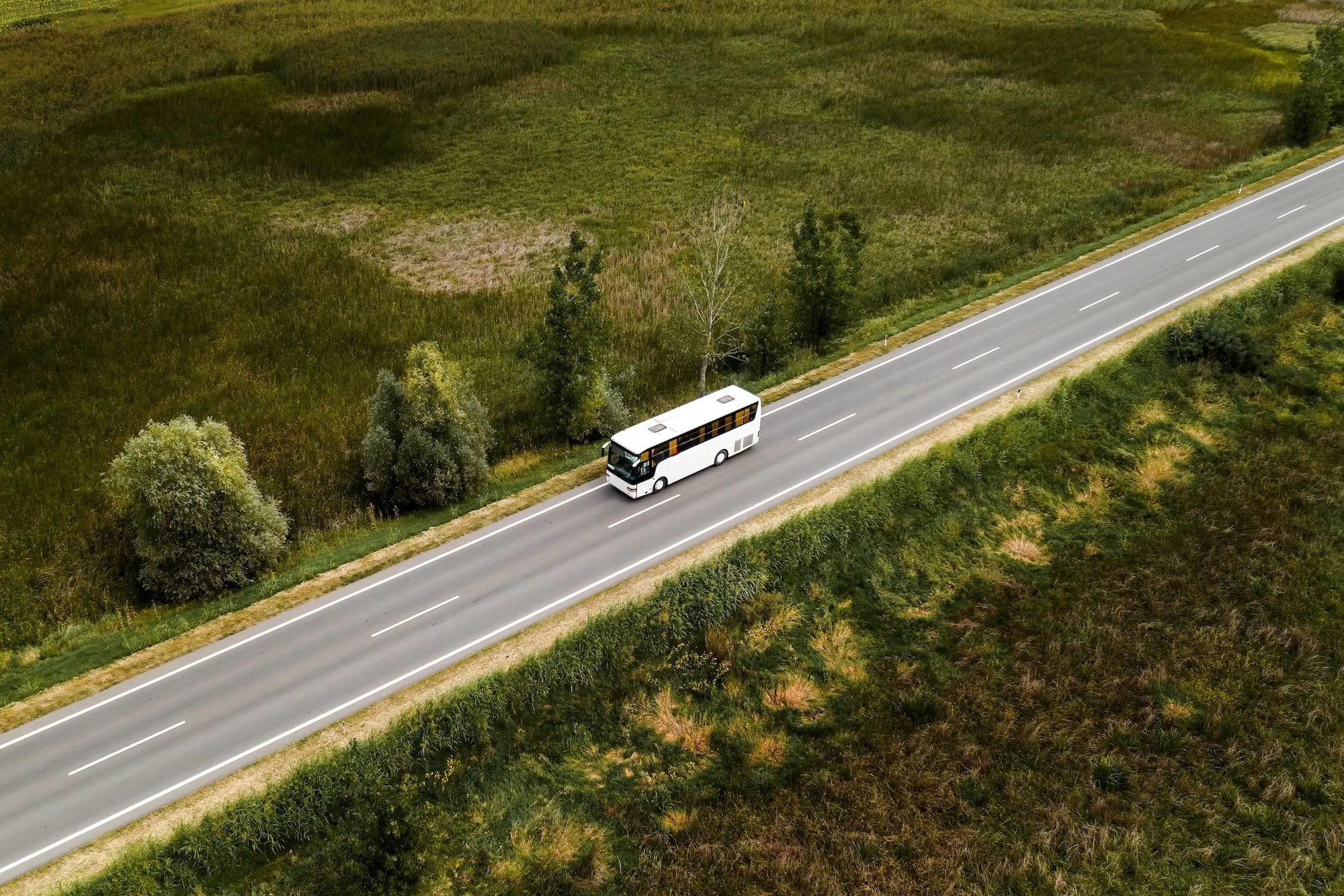 Queenstown to Milford Sound