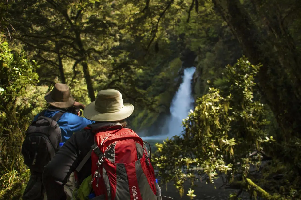 Private Milford Track Guided Walk